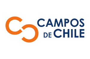 campos de chile